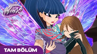 World of Winx | TÜRKÇE | S1 Bölüm 9 | Parçalanan Hayaller | TAM BÖLÜM