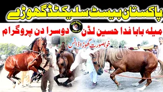 Best horse dance in pakistan Top 10|Punjab Rang|Punjab Day Nazaray| ghora danas || mela luddan 2022