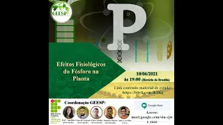 Efeitos Fisiológicos do Fósforo na Planta - Participação Prof. Luiz Dimenstein