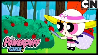 Blossom Goes Fruit Picking | Powerpuff Girls | Cartoon Network