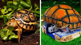 DIY Cozy Houses For Turtles, Birds, And Puppies