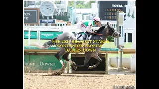 2024 BELMONT STAKES CONTENDER PROFILES - BATTEN DOWN