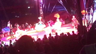 Circus Krone 2017|| Straubing
