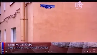 Егор Кострома на Шансон ТВ - На улице Лунных Кошек