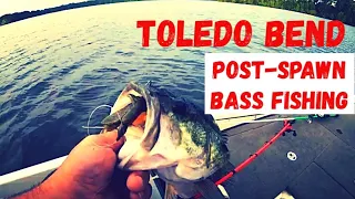 Bass Fishing In Toledo Bend Reservoir