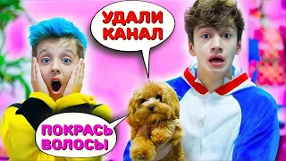 Собака Управляет Нашей Жизнью 24 Часа!