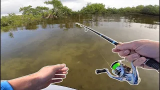 Flats Fishing DEEP Into Everglades JUNGLE! (Florida Send DAY 5)