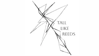 Sarzec - Tall Like Reeds