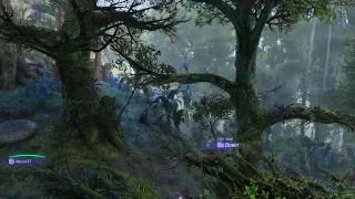 Avatar: Frontiers of Pandora_jungle