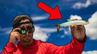 Is This Expensive Giant Ladyfish Fishing Lure Worth the Money?