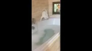 Kitten falls in bath!