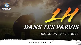 ADORATION PROPHÉTIQUE - 1H DANS TES PARVIS - DYNAMIQUE DE RÉVEIL FRANCE-03-06-24