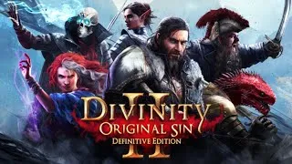 Divinity: Original Sin 2 Радека ведьма