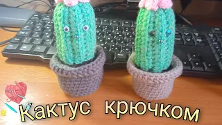 Вяжем кактус крючком.