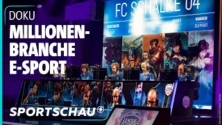 eSport - vom Schmuddelkind zum Shootingstar | Sportschau