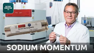 Prof. Stefano Passerini - Sodium-Ion Batteries gain Momentum | Battery Podcast