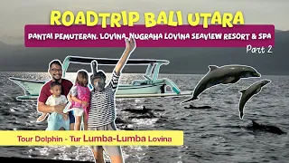 Jackpot Ketemu Banyak Lumba-Lumba Lovina!! Pantai Pemuteran | Nugraha Lovina Seaview | Roadtrip Bali