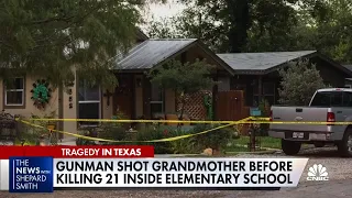 Neighbor describes seeing gunman leave after shooting grandmother