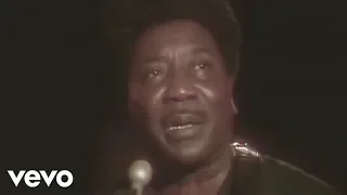 Muddy Waters - Hoochie Coochie Man (Live)