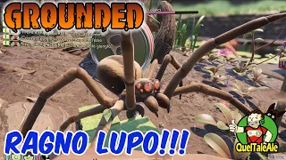 IL RAGNO LUPO - Grounded - Gameplay ITA - #11