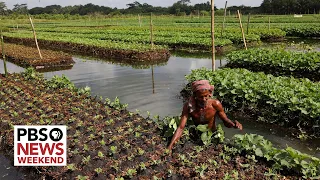 Driven by necessity, Bangladesh develops innovations to fight climate change