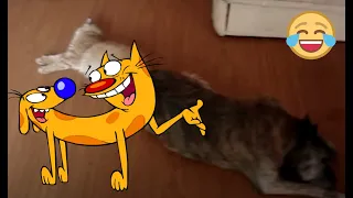 Hell CatDog Part 1