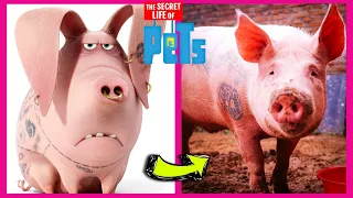 The Secret Life of Pets IN REAL LIFE 💥 All Characters 💥👉🏼@Chunie Tunes