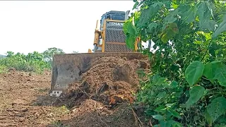 Desable man sign language (apa or amang) try to smooth and levelling road treas