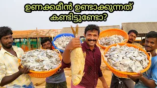 Dried Fish Processing Explained | How is dried fish prepared