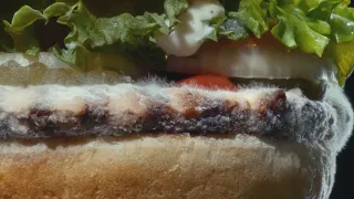 Burger King launches new ad featuring moldy Whopper