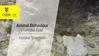 TEASER: Habitat selection