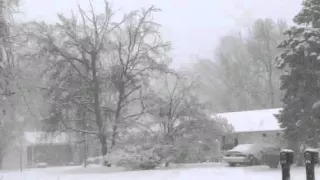 Heavy Snow in Bowling Green, KY at 7:30AM 1/22/16