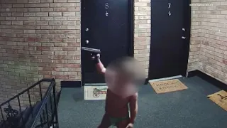 Toddler seen waving gun on live TV