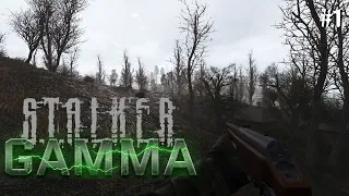 ЕЩЁ ОДНА ИНТЕРЕСНАЯ СБОРКА | ANOMALY GAMMA #1