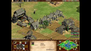 Age of Empires 2 custom campaign: The lion of Sweden-Chapter II-Growth