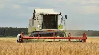 Žně 2023 🌾| Claas Mega 370  Claas Dominator 218