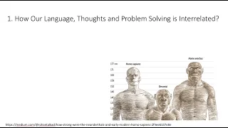 6.1. Language, Thoughts and Problem Solving, Fundamentals of Cognitive Neuroscience, Session 6, P1