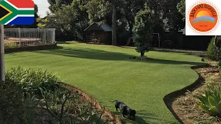 Kikuyu grass gets a 10mm mow in winter - South Africa