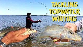 The Ultimate Guide to Topwater Whiting Fishing + Lure & Leader Giveaway