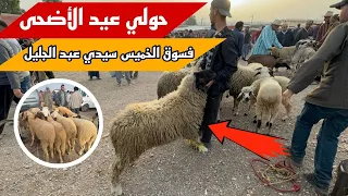 حولي و خروفة عيد الأضحى فسوق الخميس سيدي عبد الجليل 06/06/2024
