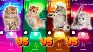 CUTE CATS HONKEY TONK VS JUSTIN BIEBER VS GUMMY BEAR VS SHAKIRA WAKA WAKA & TILES HOP EDM RUSH