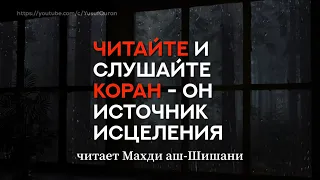 Прекрасное чтение Корана / Махди аш-Шишани