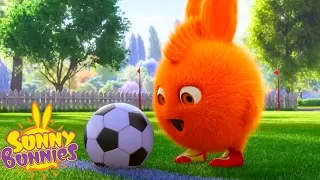 Playing Football | SUNNY BUNNIES | Cartoons for Kids | WildBrain Zoo