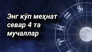 Энг кӯп меҳнат севар 4 та мучаллар