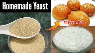 Homemade Yeast Recipe for Pav Buns ,Pizza. How to make Yeast at home. Atta sweet buns Recipe