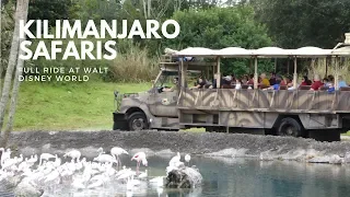 Kilimanjaro Safaris FULL RIDE at Disney's Animal Kingdom Walt Disney World