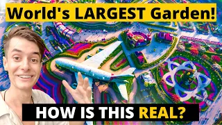 Дубайский тур Miracle Garden 2023: на что это похоже?