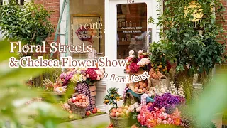 RHS Chelsea Flower Show 2024: Press Day Access & FREE London Blooms!