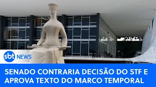 🔴 SBT News na TV: Senado aprova texto do marco temporal; número de mortes por ciclone sobe para 50