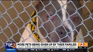Pets are being returned to Phoenix-area shelters at alarming rates